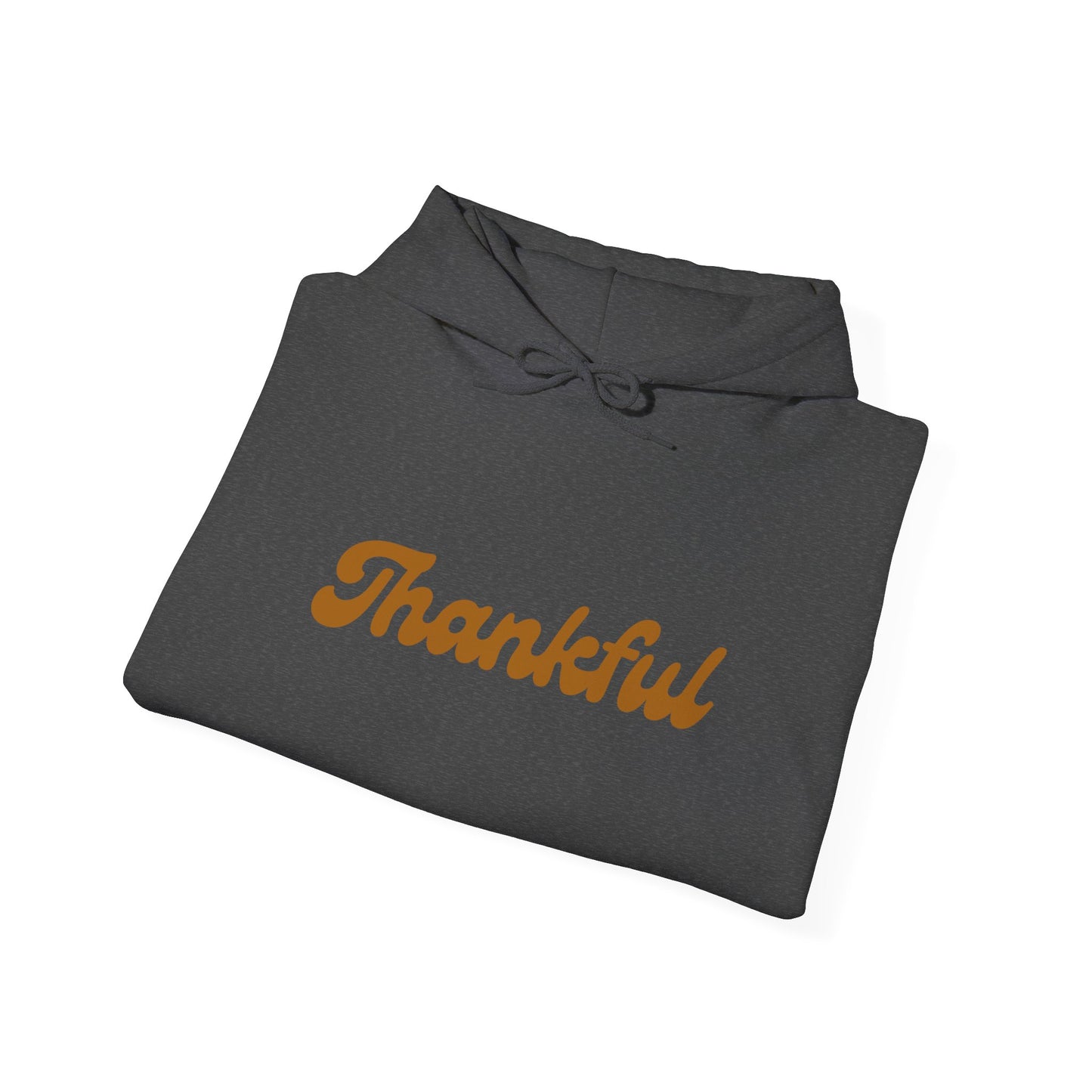 Thankful Hooded Sweatshirt