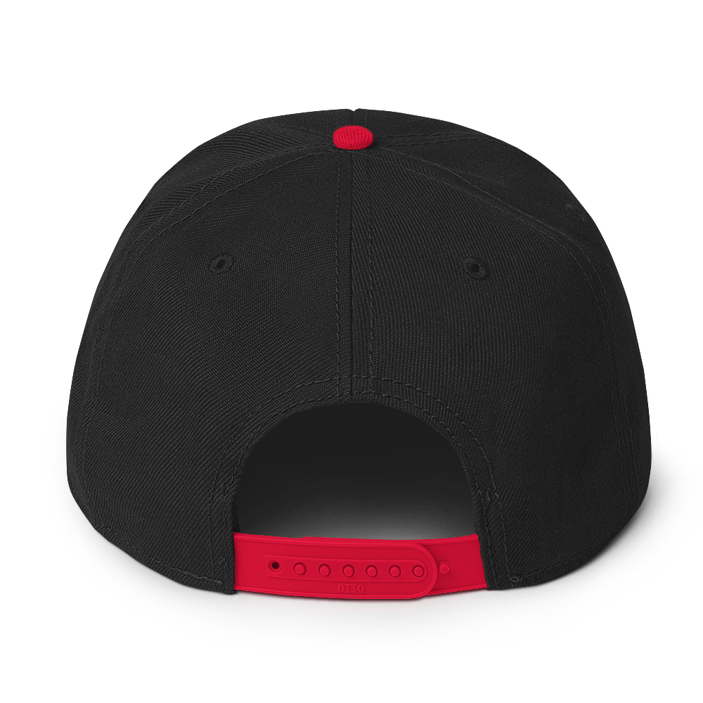 NBW Snapback Hat Multiple Colors